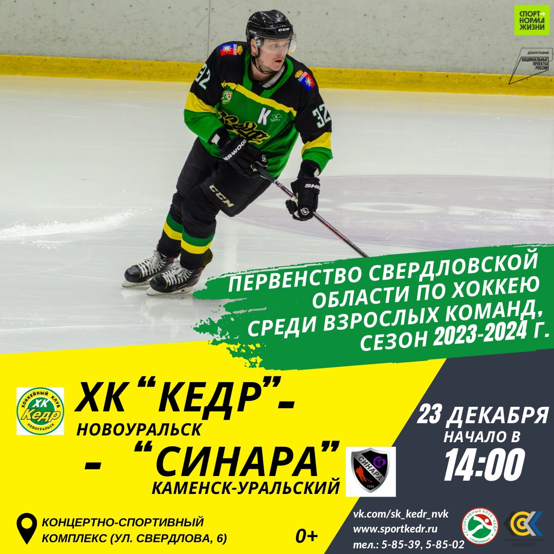 кедр синара